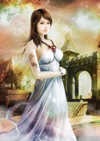 如意佳婿