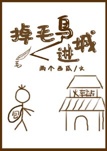 掉毛鸟进城