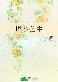 塔罗公主