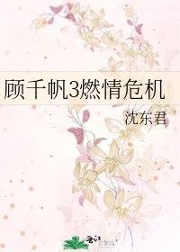 顾千帆3燃情危机