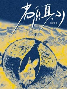 劣質真心