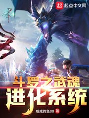 （斗罗同人）斗罗之武魂进化系统