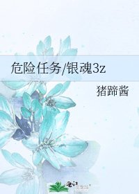 危险任务/银魂3z